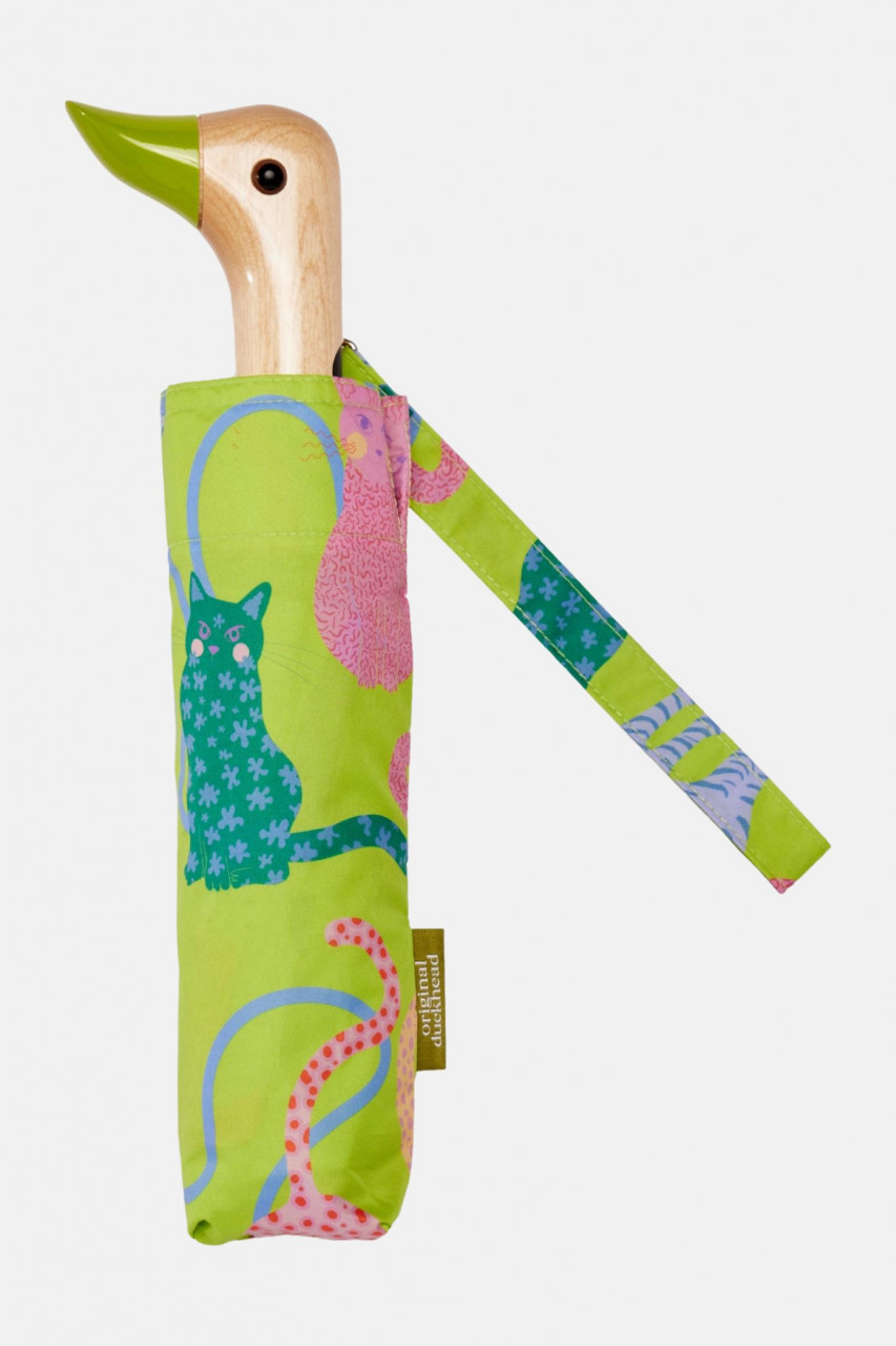 Original Duckhead Regenschirm Lime Arty Cats Hellgrün Neon Katzen Blau Rosa
