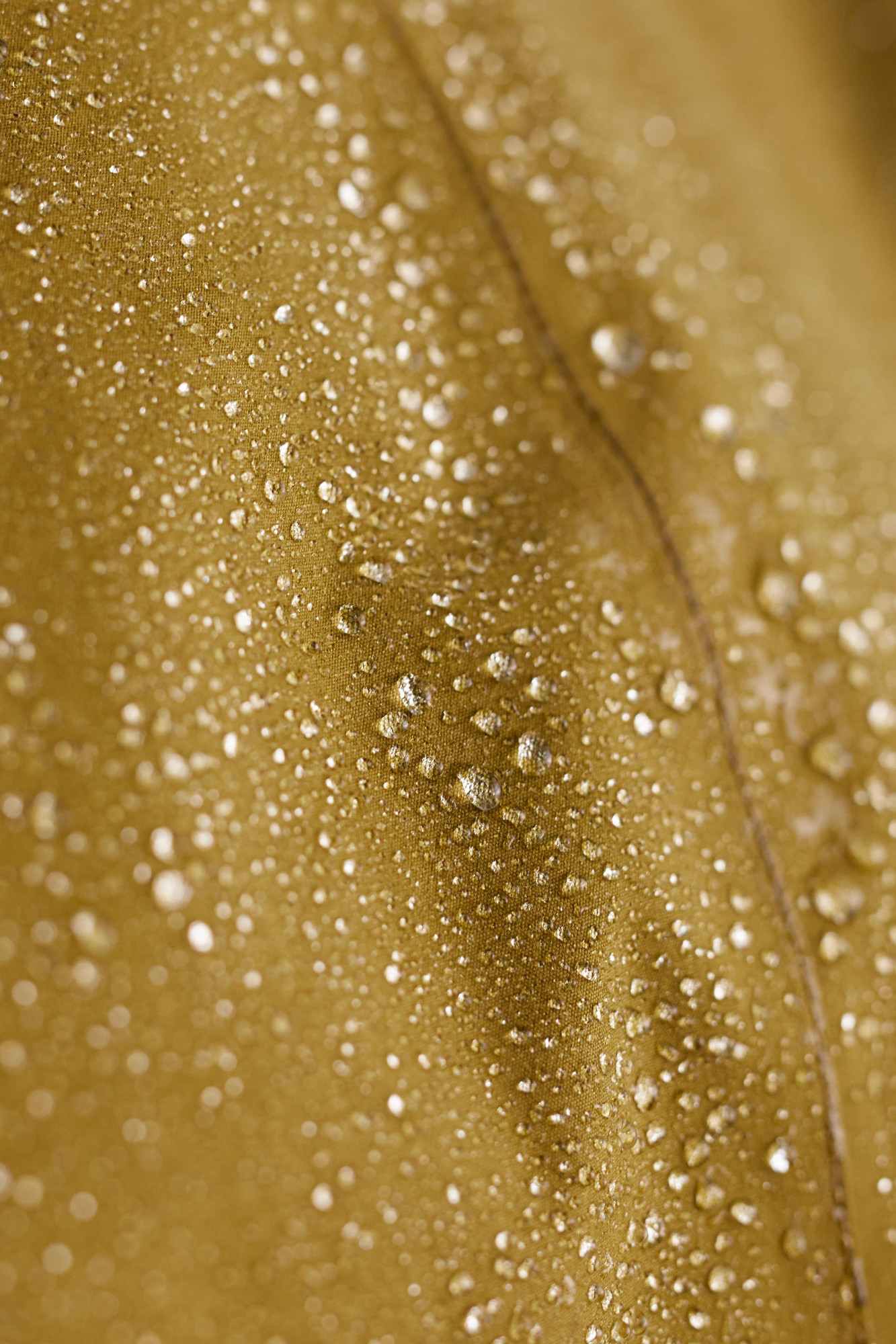 Seasalt Cornwall Plant Hunter 2 Regenjacke Oak Senf Dunkel Wintermantel Parka